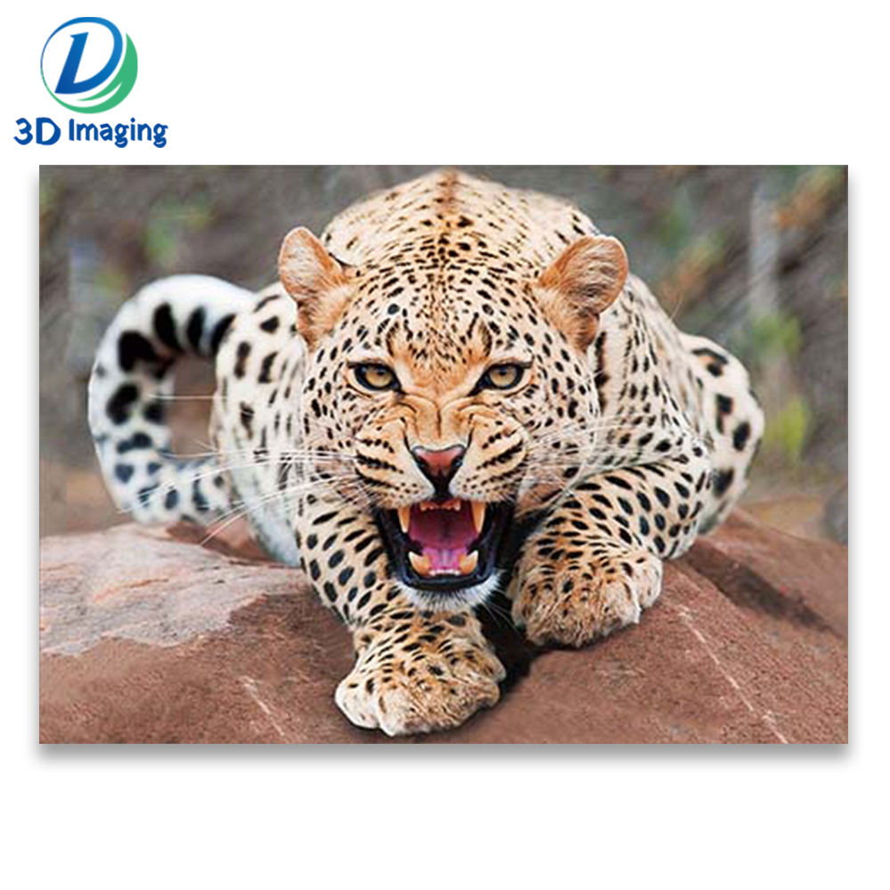 lenticular printing large size decoration picture 3D animal picture 50x70cm size