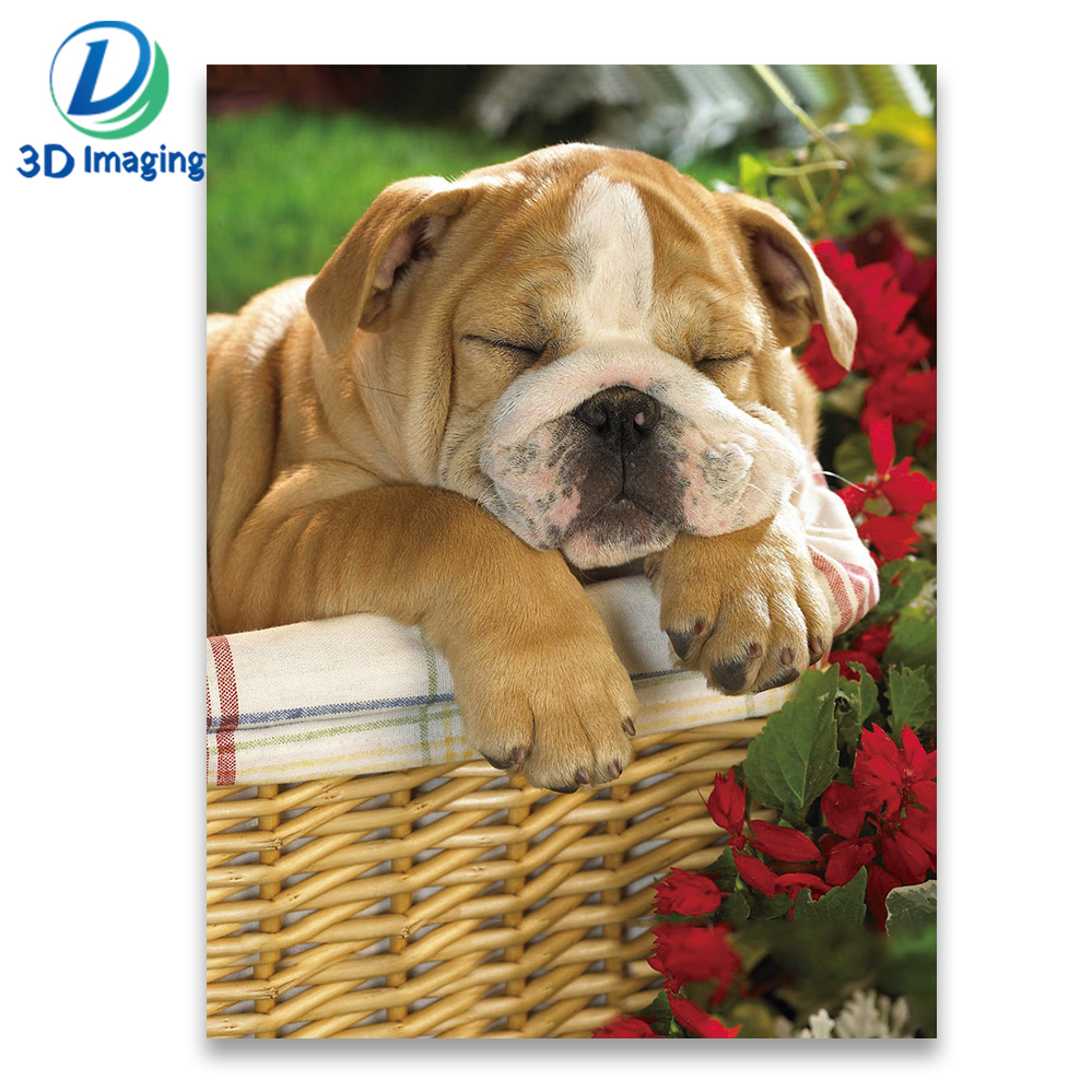 High quality 3d lenticular pictures of dogs customized plastic 3d lenticular picture