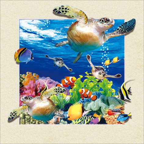 sea life plastic decor picture with 5d effect tortoise images lenticular printing