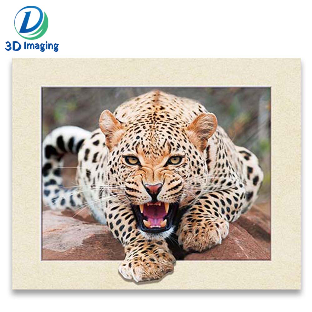 40x60cm Tiger lenticular picture with 5d effect animal poster